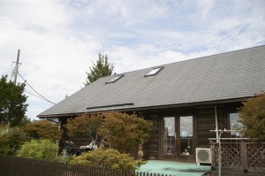  DSC2459
